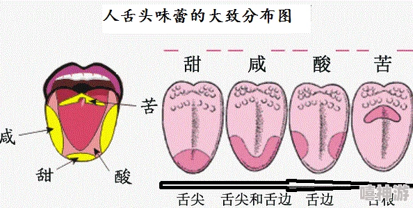 舌头在幽谷里滑来滑去怎么回事？或许是自然现象与生物行为的奇妙结合，值得深入思考和探讨