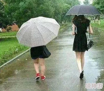 你晚上弄了好几个小雨伞知乎，理解这些小雨伞背后的故事与意义，让我们一起深入探讨