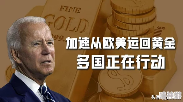 黄金网站app观看大全软件下载：全面解析各类黄金投资网站APP，安全下载与使用技巧分享