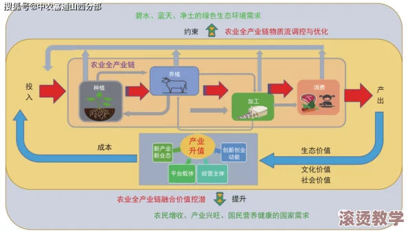 麻豆精产三产最简单处理方法666ct.ct：探讨农业产业链优化与现代化生产技术的关键要点与实践技巧