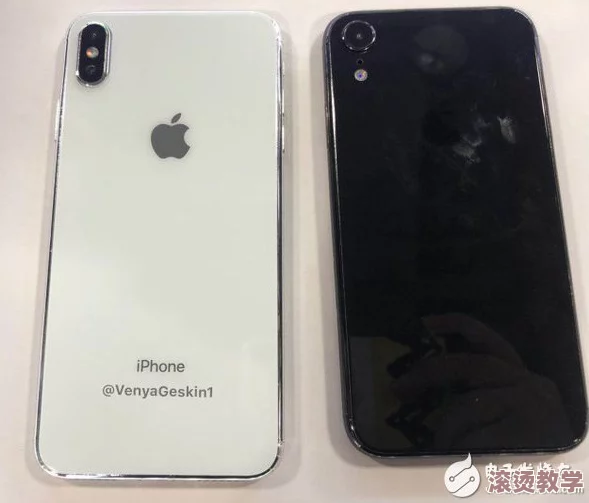 iPhone欧美高清l：传闻新款将搭载革命性摄像头，拍照效果堪比专业相机，引发用户热议与期待！