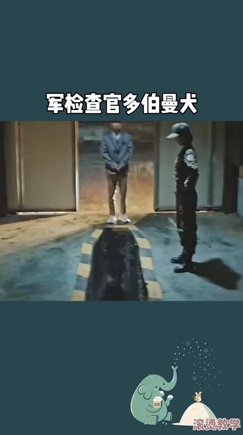 残忍重口变态的交videos：对极端内容在网络传播中的影响与社会反响的研究分析