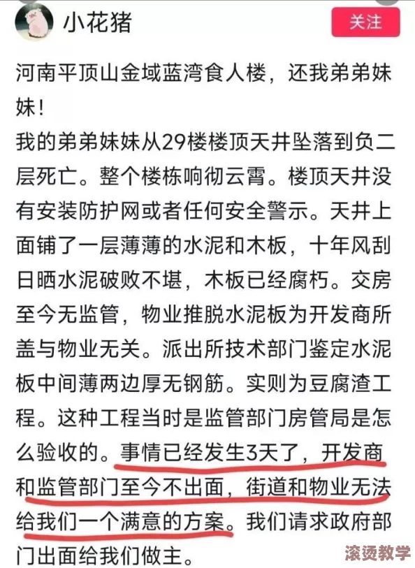 弟弟给姐姐吃钢筋，这一行为引发了人们对家庭教育和安全意识的深思与讨论