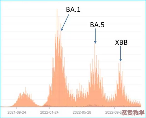 日本乂乂乄乂╳BBB：最新进展揭示了该事件的深层次影响与未来发展趋势，值得关注