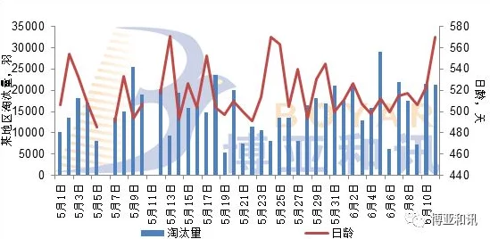 日本不卡一二三：最新进展揭示其在国际市场的影响力与未来发展方向