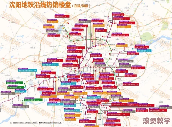 沈阳60岁老阿姨叫的没谁了2023年最新消息：她的生活变化引发网友热议，背后故事令人感动