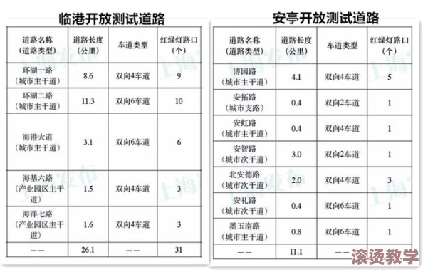 嫩叶草m码和澳洲码的区别：详细解析两种尺码系统的特点与适用范围