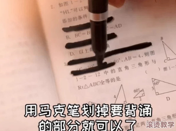 学渣坐在学霸鸡上背单词双楠，意外发现学习新方法提升成绩的奇妙旅程