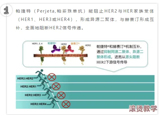 双向治疗(双／产／骨科年上)：探讨在双向医疗模式下，如何有效整合产科与骨科的治疗方案，以提升患者整体健康水平