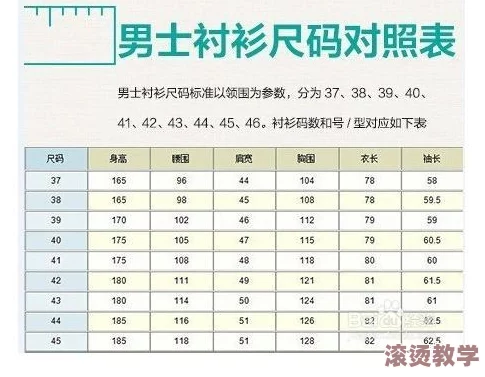 欧洲尺码与日本尺码的差异分析及其对中老年服装市场的影响研究