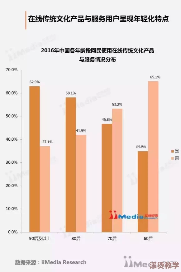 91网站：分析其在中国互联网文化中的影响力与发展历程的研究