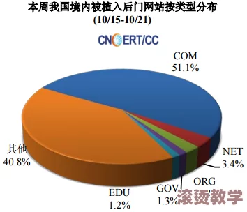 51cg1.fun192.168.1.1：深入分析该域名的潜在用途及其对网络安全的影响与重要性