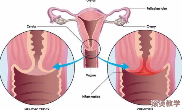 女人巨大荫蒂勃起后，引发医学界广泛关注，专家称或与新发现的生理现象有关！