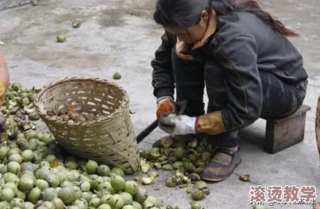 胡桃坐旅行者胡萝卜免费！意外大促销引发全城抢购热潮，畅享新鲜食材，引领健康生活新风尚！