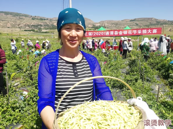 骑蛇难下(双) 金银花免费！震撼消息：全国最大金银花种植基地即将全面对外免费开放，千万观众争相体验！