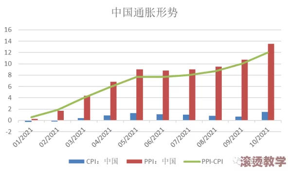 xxxxbbbb：在全球经济波动中，如何有效应对市场变化与挑战，实现可持续发展目标的策略分析与建议