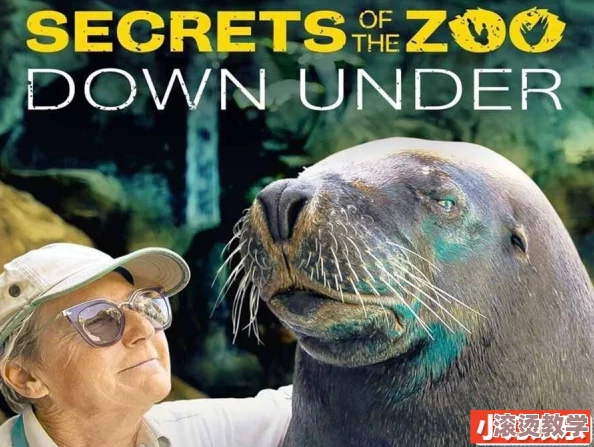 美国ZOOZOON惊现神秘动物，专家称其或为全新物种，震惊全球生物学界，引发广泛讨论与关注！