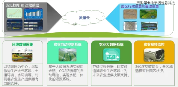 农村妇女BwBwBWBwBW：传统文化与现代生活的交融对其社会地位影响的研究与分析