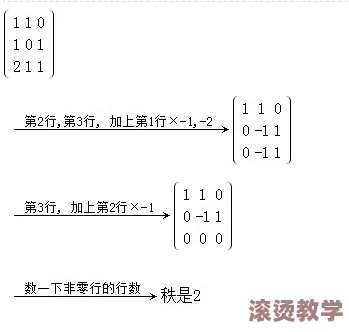 7x7x7x7x任意槽2023基础：理解七维空间的数学原理与应用，探索下特定槽的现象与意义