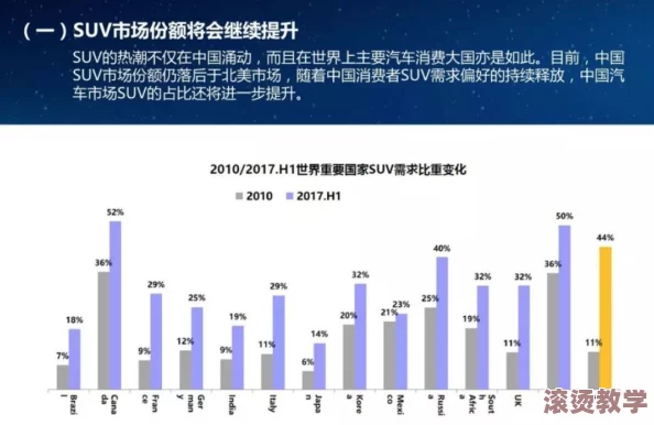 国产SUV一区二区：市场竞争分析与消费者偏好调查，揭示未来发展趋势与品牌策略