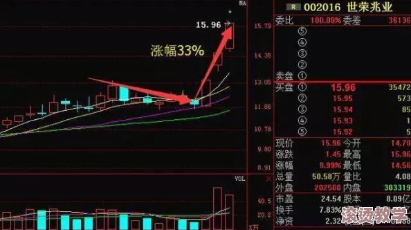 XXXXXL19D18使用评测：深入分析其性能、优缺点及用户反馈，助你做出明智选择