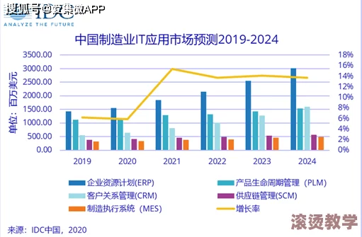 China天美传媒在全球市场的影响力与发展趋势分析：以XXXXHD为例的多元化战略研究