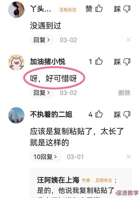 91精品国产乱码久久久张津瑜的深度解析与全面解读