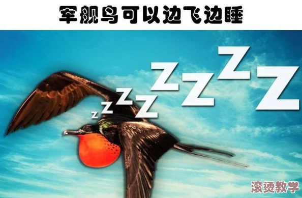 震惊！aa级毛片午夜在线播放竟然引发了全国范围内的热议，网友们纷纷发表看法，背后真相令人瞩目！