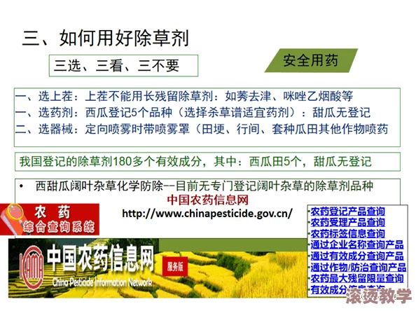 (51cg)今日大瓜必吃大瓜：深度解析当下热门话题与社会热点事件的背后真相与影响