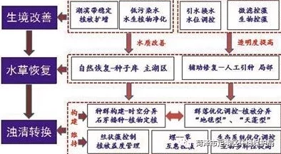 欧美精品一卡2卡3卡4卡新区乱码：深入了解卡片系统的多样性与特点，解析其在国际市场中的应用与影响