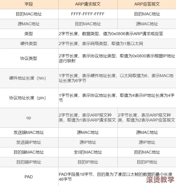 2024年异世界慢生活兑换码全解析：最新兑换内容大揭秘